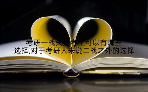 考研一战失败考生可以有哪些选择,对于考研人来说二战之外的选择