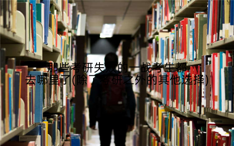 那些考研失败的一战考生都去哪里了(除了考研之外的其他选择)