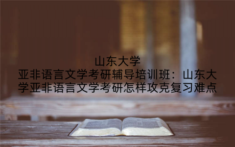 山东大学亚非语言文学考研辅导培训班：山东大学亚非语言文学考研怎样攻克复习难点