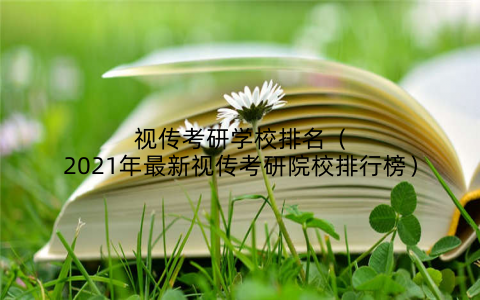 视传考研学校排名(2021年最新视传考研院校排行榜)