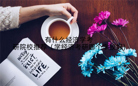 有什么经济学考研院校推荐（学经济考研哪个学校好)