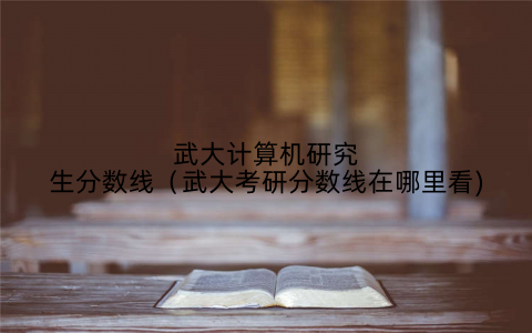 武大计算机研究生分数线(武大考研分数线在哪里看)