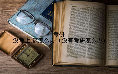 考研没考上,该怎么办（没有考研怎么办)