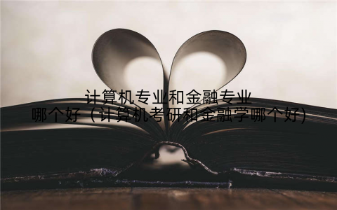 计算机专业和金融专业哪个好(计算机考研和金融学哪个好)