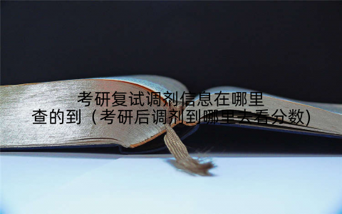 考研复试调剂信息在哪里查的到(考研后调剂到哪里去看分数)