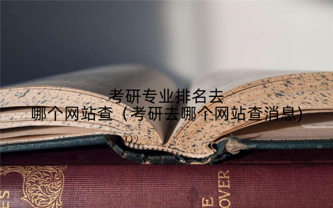 考研专业排名去哪个网站查(考研去哪个网站查消息)