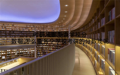 考研从哪里查学校分数啊,怎么查各个学校考研的分数线呢
