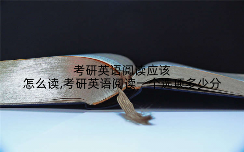 考研英语阅读应该怎么读,考研英语阅读一个选项多少分