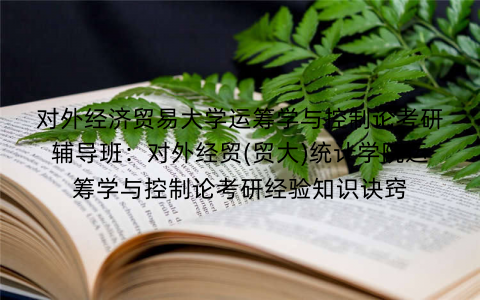 对外经济贸易大学运筹学与控制论考研辅导班：对外经贸(贸大)统计学院运筹学与控制论考研经验知识诀窍