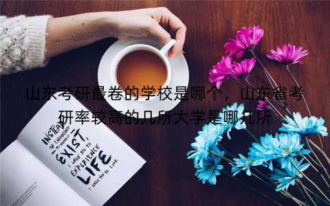 山东考研最卷的学校是哪个,山东省考研率较高的几所大学是哪几所