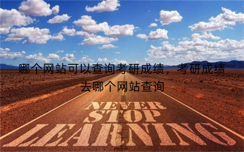 哪个网站可以查询考研成绩,考研成绩去哪个网站查询