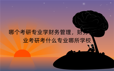 哪个考研专业学财务管理,财务管理专业考研考什么专业哪所学校