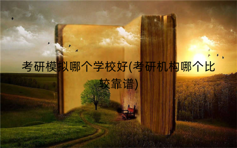 考研模拟哪个学校好(考研机构哪个比较靠谱)