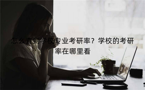 怎么查到学校专业考研率?学校的考研率在哪里看