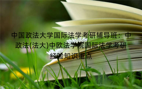 中国政法大学国际法学考研辅导班：中政法(法大)中欧法学院国际法学考研经验知识重点