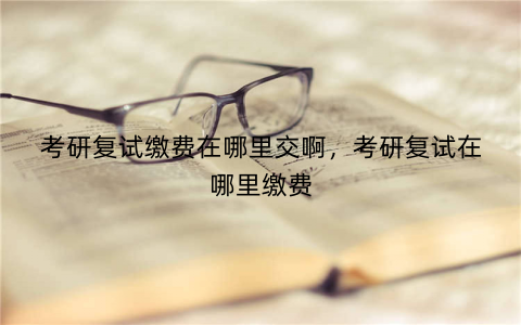 考研复试缴费在哪里交啊,考研复试在哪里缴费