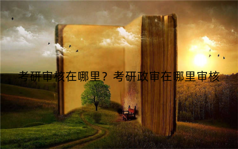 考研审核在哪里？考研政审在哪里审核