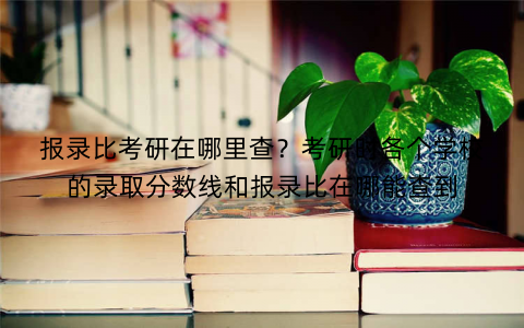 报录比考研在哪里查？考研时各个学校的录取分数线和报录比在哪能查到