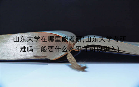 山东大学在哪里能考研(山东大学考研难吗一般要什么水平才可以进入)