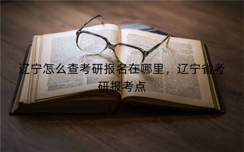 辽宁怎么查考研报名在哪里,辽宁省考研报考点
