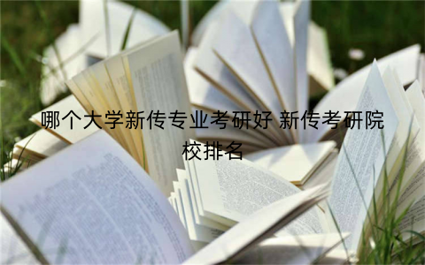 哪个大学新传专业考研好 新传考研院校排名