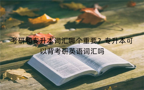 考研和专升本词汇哪个重要?专升本可以背考研英语词汇吗